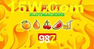 Programa VIP 98Z